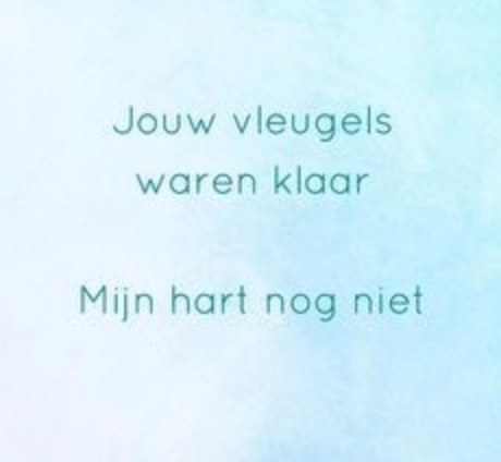 Schermafbeelding 2018-01-31 om 11.44.02